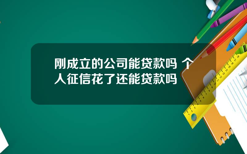 刚成立的公司能贷款吗 个人征信花了还能贷款吗